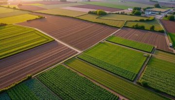 السيسي: إضافة 4.5 مليون فدان للأراضي المزروعة عام 2026