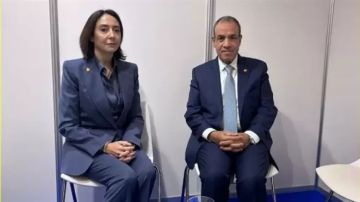 وزير الخارجية يلتقى رئيسة مؤسسة آنا ليند للحوار بين الثقافات