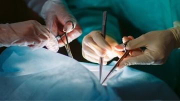 أستاذ بجامعة أمريكية: مصر تظهر اهتماما غير مسبوق بمبادرة مكافحة فشل الأعضاء