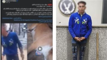 فيديو التعدي على كلب بكوريك في سوهاج يثير الجدل..تفاصيل القبض عليه فيديو التعدي على كلب بكوريك في سوهاج يثير الجدل..تفاصيل القبض عليه