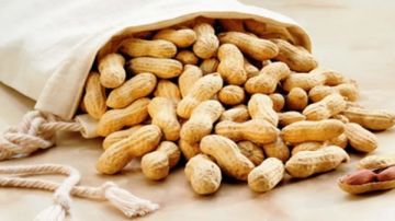 مكسرات رخيصة قيمتها غالية.. فوائد الفول السوداني على صحة الجسم والعقل مكسرات رخيصة قيمتها غالية.. فوائد الفول السوداني على صحة الجسم والعقل