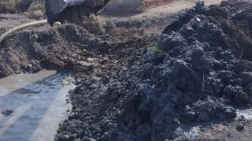 إزالة 10 مزارع سمكية مخالفة على أرض زراعية جنوب بورسعيد