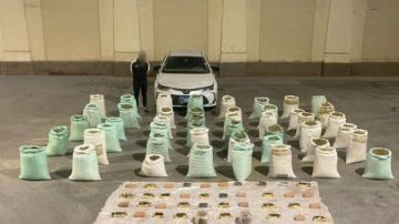 الداخلية تضبط صفقة مخدرات بـ96 مليون جنيه بالإسماعيلية الداخلية تضبط صفقة مخدرات بـ96 مليون جنيه بالإسماعيلية