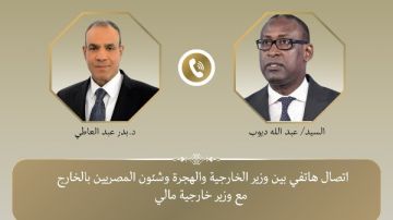 وزير الخارجية يؤكد ضرورة توفير أقصي درجات الحماية للمصريين المقيمين في مالي