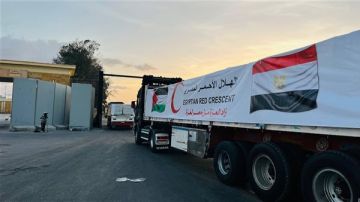 إدخال 238 شاحنة مساعدات إنسانية إلى قطاع غزة عبر معبر رفح إدخال 238 شاحنة مساعدات إنسانية إلى قطاع غزة عبر معبر رفح