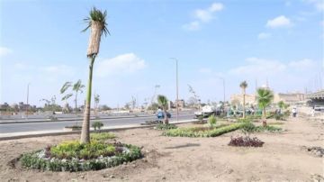انطلاق المرحلة الرابعة من المبادرة الرئاسية 100 مليون شجرة بالفيوم
