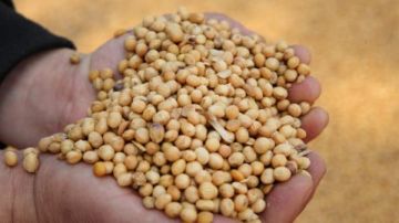 بكين ترفع الرسوم الجمركية عن الواردات الأمريكية