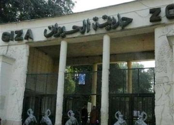 رسميا بعد تطويرها.. موعد افتتاح حديقة الحيوان بالجيزة وخطة تجديدها وربطها بالأورمان
