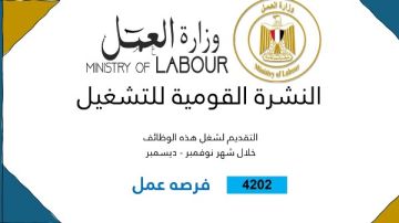 4202 فرصة عمل جديدة براتب يصل إلى 9500 جنيه