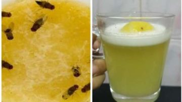 5 وصفات طبيعية فعالة للتخلص من الهاموش في المطبخ