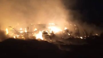 كشف غموض الحرائق المجهولة بقرية في كفر الشيخ