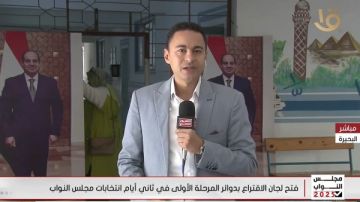 متابعة قوية للمنظمات الدولية بانتخابات مجلس النواب 2025