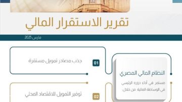 ننشر تقرير البنك المركزي بشأن الاستقرار المالي.. تفاصيل وإنفوجراف