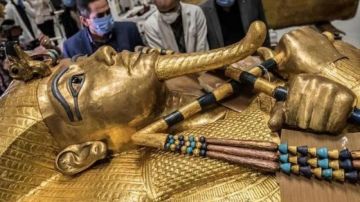 الزراعيين: المتحف المصري الكبير يعبر عن إرادة وطنية واعية تضع التراث بقلب التنمية