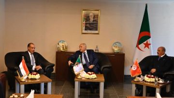 البيان الختامي لاجتماع وزراء خارجية مصر والجزائر وتونس بشأن ليبيا البيان الختامي لاجتماع وزراء خارجية مصر والجزائر وتونس بشأن ليبيا