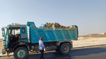 خلال متابعة ميدانية.. ضبط سيارة نقل تتناثر منها مخلفات أشجار بالغردقة