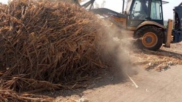 استرداد 90 فدانا خلال المرحلة الثالثة من الموجة الـ27 لإزالة التعديات بأسيوط