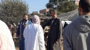  الزراعة : 7.5 مليون جرعة لتحصين الماشية ضد الحمى القلاعية وحمى الوادي المتصدع