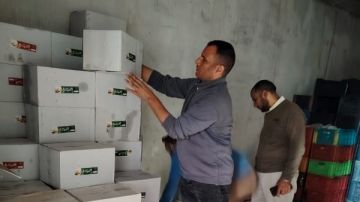 محافظ أسيوط: ضبط لحوم غير صالحة وتحرير 212 محضرا خلال حملات رقابية مكثفة على الأسواق والمخابز