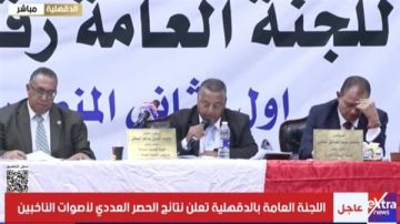 نتائج انتخابات النواب 2025..الحصر العددي بالدقهلية يكشف تصدر رضا عبد السلام