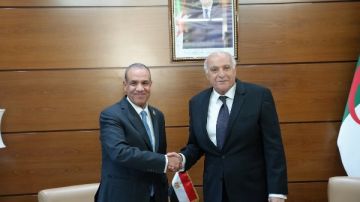 وزير الخارجية يعرب عن تطلع مصر لتبادل الخبرات مع الجزائر وزير الخارجية يعرب عن تطلع مصر لتبادل الخبرات مع الجزائر
