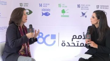 فيلمنج: برنامج الأمم المتحدة الإنمائي يعمل على إزالة الأنقاض بغزة