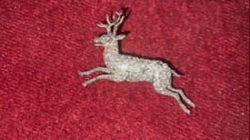 كنوز الأسرة العلوية تتألق في متحف الغردقة معروضات نادرة تكشف فصولا خفية من تاريخ مصر الحديث