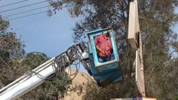 إزالة 45 إعلانا مخالفا بشوارع بيلا في كفر الشيخ