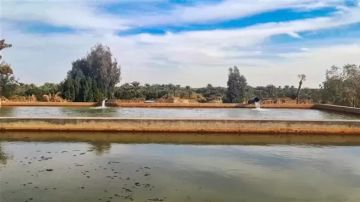 الري تستعرض موقف مشروع تطوير منظومة الري والصرف للحفاظ علي التوازن البيئي بواحه سيوة الري تستعرض موقف مشروع تطوير منظومة الري والصرف للحفاظ علي التوازن البيئي بواحه سيوة