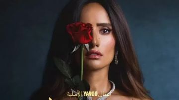 أول تعليق من زينة على المشاهدات التاريخية لـ ورد وشكولاته