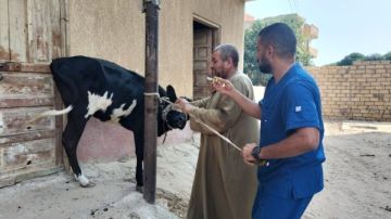 بيطري الإسماعيلية ينظم قوافل مجانية لخدمة القرى الأكثر احتياجا بيطري الإسماعيلية ينظم قوافل مجانية لخدمة القرى الأكثر احتياجا