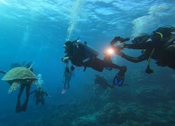 مغامرات الغوص الليلي في أعماق البحر الأحمر تتزايد بين السائحين