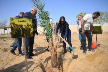 وزيرة التضامن الاجتماعي تغرس نخلة في حديقة 30 يونيو بالوادي الجديد