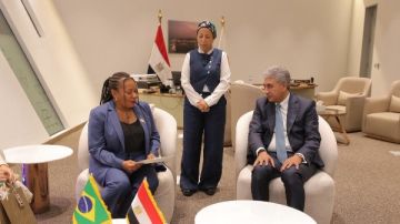 وزيرة الثقافة البرازيلية تطلب دعم مصر لإعادة إحياء متحفها الوطني