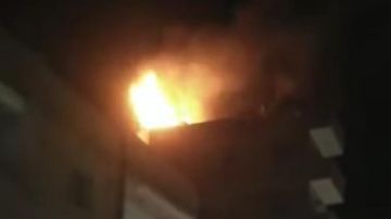 بسبب الأشجار.. تفاصيل اندلاع حريق بالمتحف الزراعي في الدقي