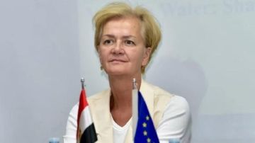 سفيرة الاتحاد الأوروبي تبحث مع مساعد وزير الخارجية التعاون في مجالات الثقافة والتراث سفيرة الاتحاد الأوروبي تبحث مع مساعد وزير الخارجية التعاون في مجالات الثقافة والتراث