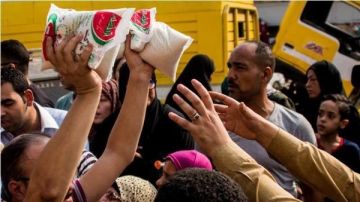 عاجل بعد وقف الاستيراد.. هل يؤثر القرار في أسعار السكر؟