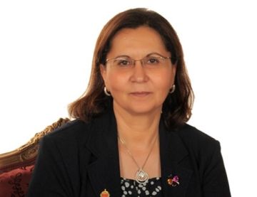 عالية المهدي: توزيع الأنشطة الاقتصادية في مصر غير عادل