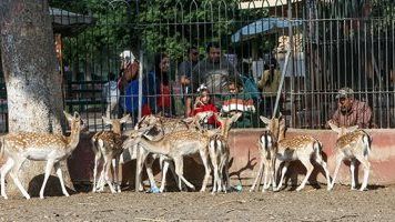 موعد افتتاح حديقة الحيوان بالجيزة بعد التطوير الشامل وربطها بالأورمان