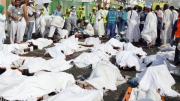 التفاصيل الكاملة لمصرع 45 معتمرا هنديا في المدينة المنورة