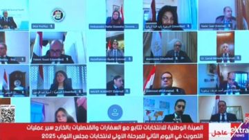 انتخابات النواب.. سفراء مصر بالخارج يؤكدون انتظام سير العلمية الانتخابية في اليوم الثاني