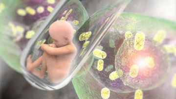 ما حكم الاستنساخ البشري؟.. الإفتاء تجيب