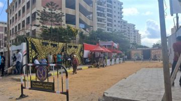 انتخابات النواب.. إقبال متوسط للناخبين في لجان الإسكندرية في الساعات الأولى للتصويت