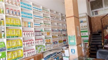 وزارة الزراعة تؤهل 441 متخصصا في مجال المبيدات الزراعية خلال أكتوبر وزارة الزراعة تؤهل 441 متخصصا في مجال المبيدات الزراعية خلال أكتوبر