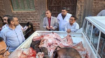 24 ساعة تهز سوهاج.. شاب ينهي حياة شقيقه.. قطار يدهس طالبة.. وضبط لحوم عشار بالسوق