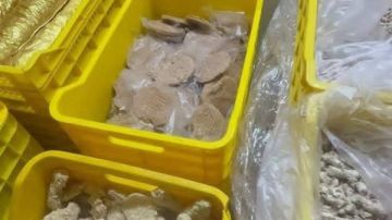 ضبط 10 طن لحوم مجمدة ودواجن مجهولة المصدر ومنتهية الصلاحية بالعاشر من رمضان