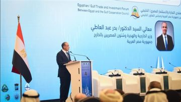 وزير الخارجية: العلاقات المصرية الخليجية لها جذور تاريخية راسخة