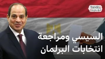 بعد دعوة السيسي.. مصر تبطل نتائج 19 دائرة انتخابية
