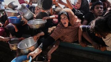 فاو: 75 مليون دولار مطلوبة لإنقاذ غزة من المجاعة فاو: 75 مليون دولار مطلوبة لإنقاذ غزة من المجاعة