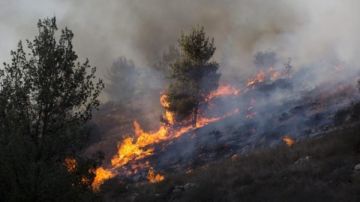 منخفض جوي يشعل إسرائيل.. حرائق بالمزارع وفوضى في الشوارع والمطارات منخفض جوي يشعل إسرائيل.. حرائق بالمزارع وفوضى في الشوارع والمطارات